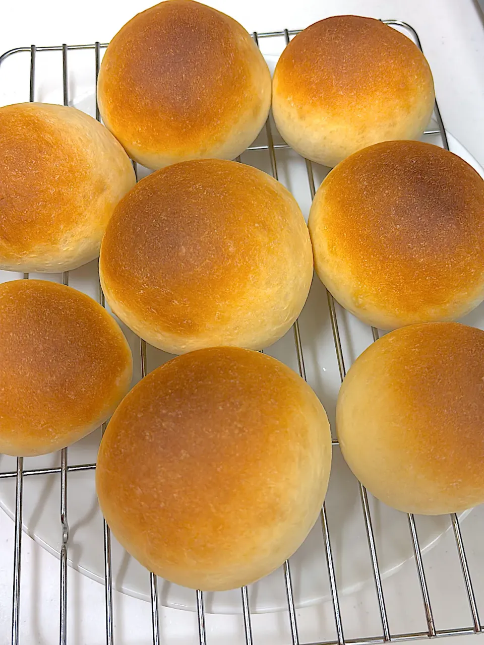 丸パン焼き上がり〜|masaさん