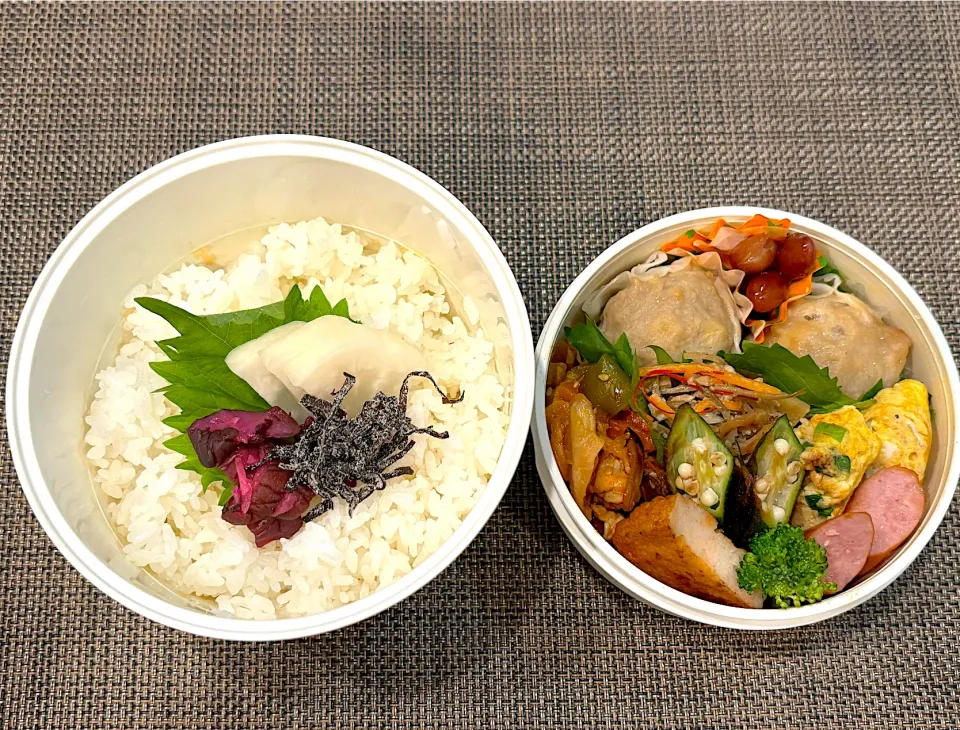 高校生息子のお弁当🍱 焼売弁当🍱|Snow10さん