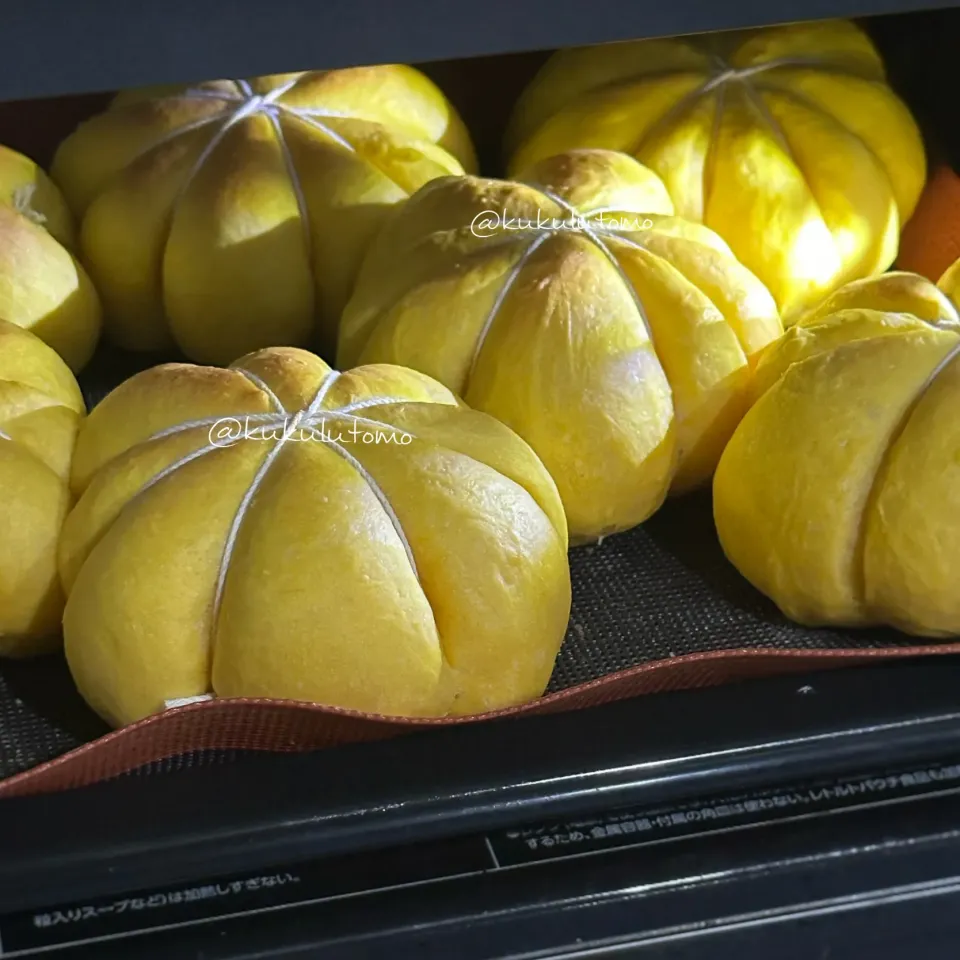 ハロウィンかぼちゃパンの仕込み|kukulutomo ❁𓎪 ⡱𓎩‎𐩢𐩺𓎪 ⡱さん