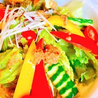 肉の日の焼肉サラダランチのサラダ🥗|Yeluさん