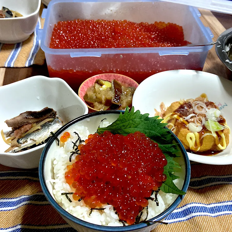 お夕飯　いくら醤油漬け丼いただきます|renharuruさん