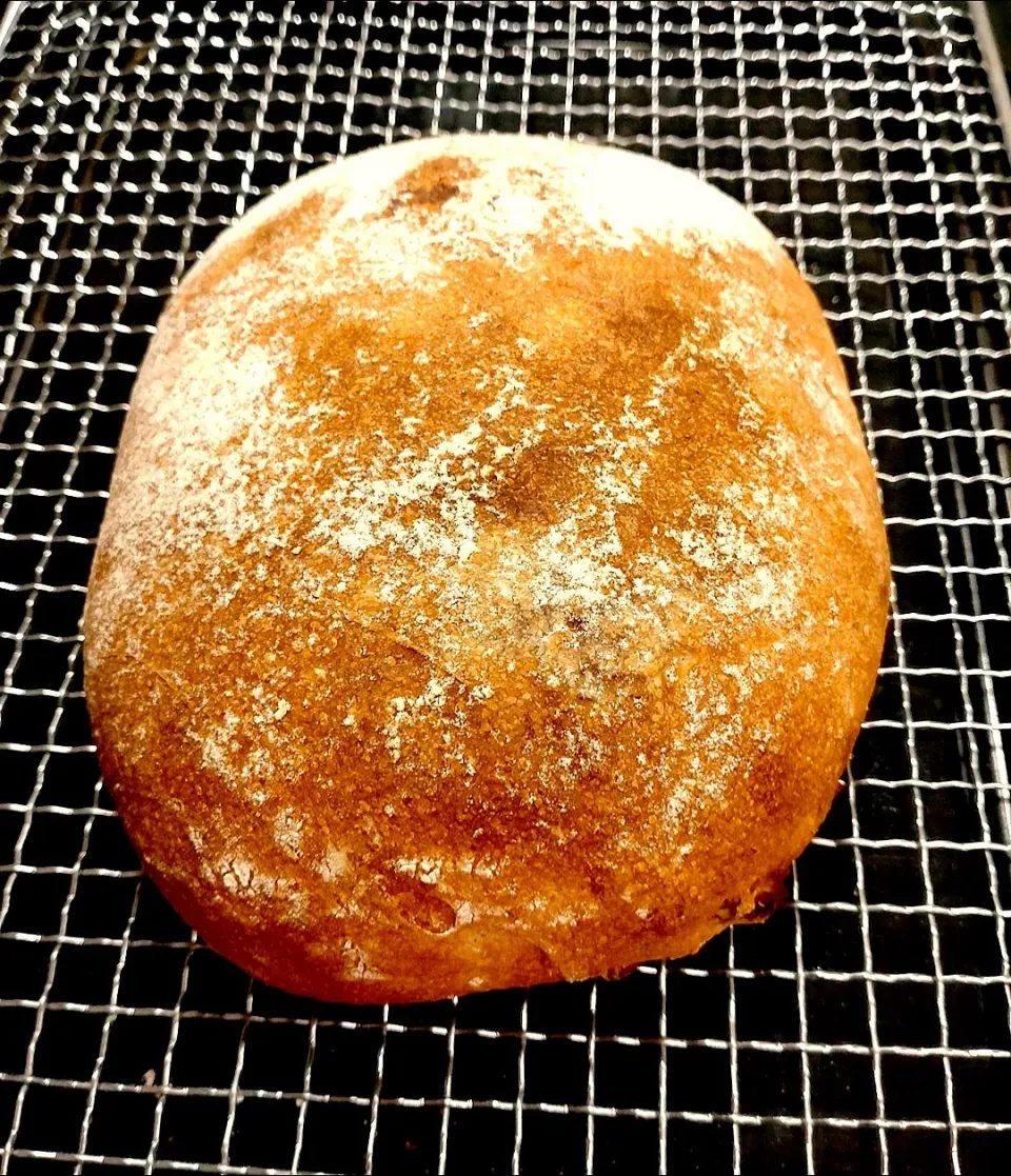 自家製酵母の石窯ライ麦ブレッド（クランベリー）|みりさん