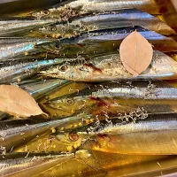 |ばん はやとさん