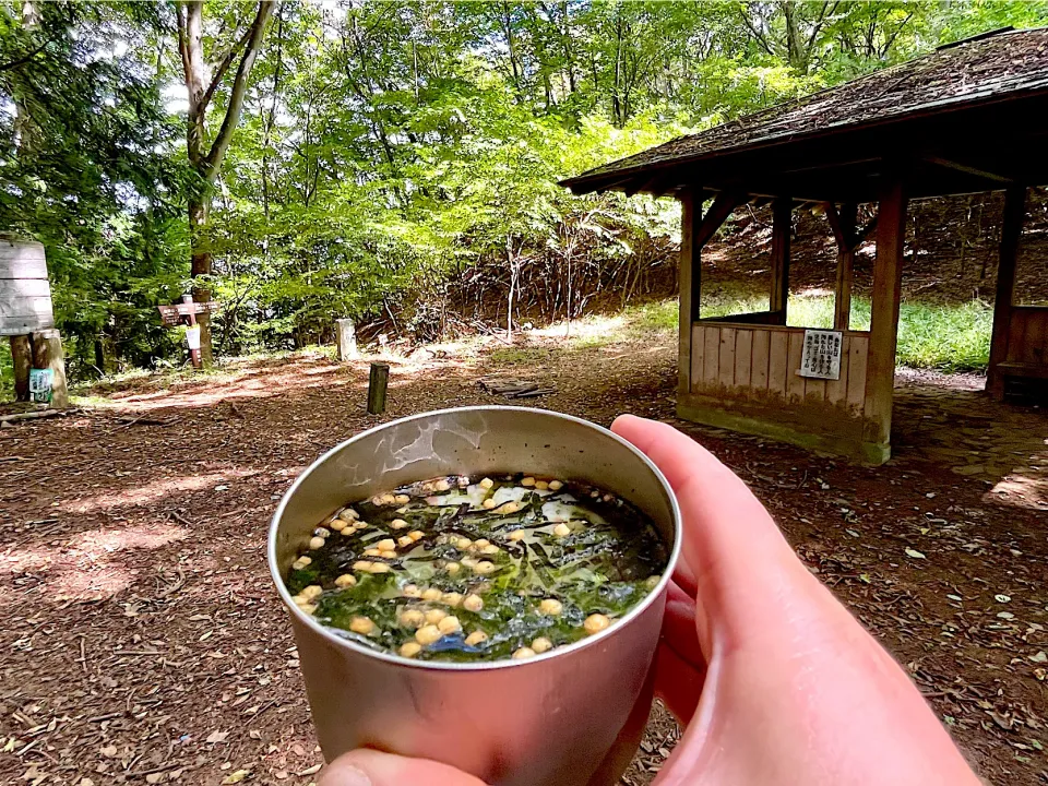 コレって赤紫蘇の実の梅酢漬けが入ってるのが良いんだよなー|deekay71さん