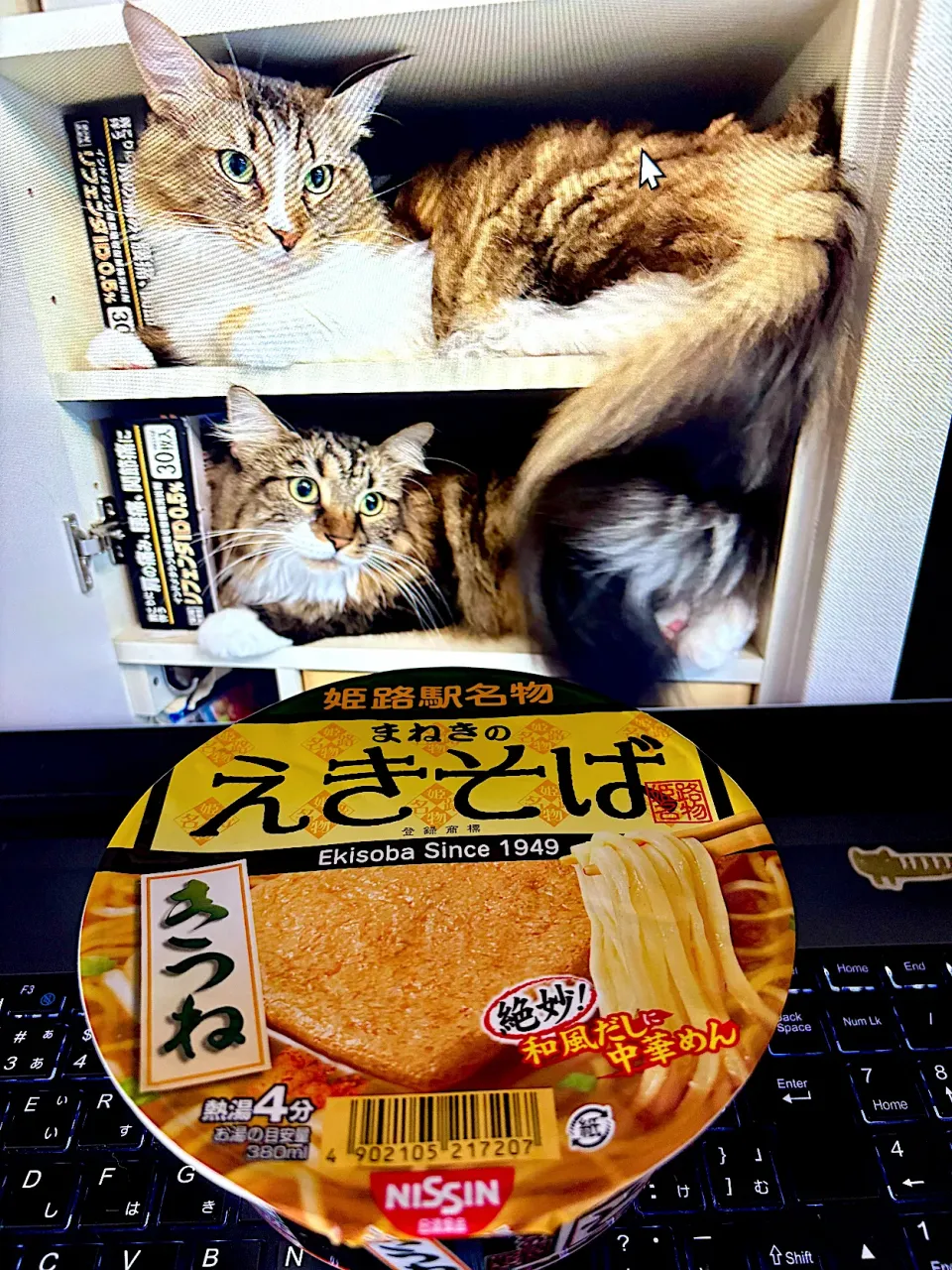 えきそば|にゃあ（芸名）さん