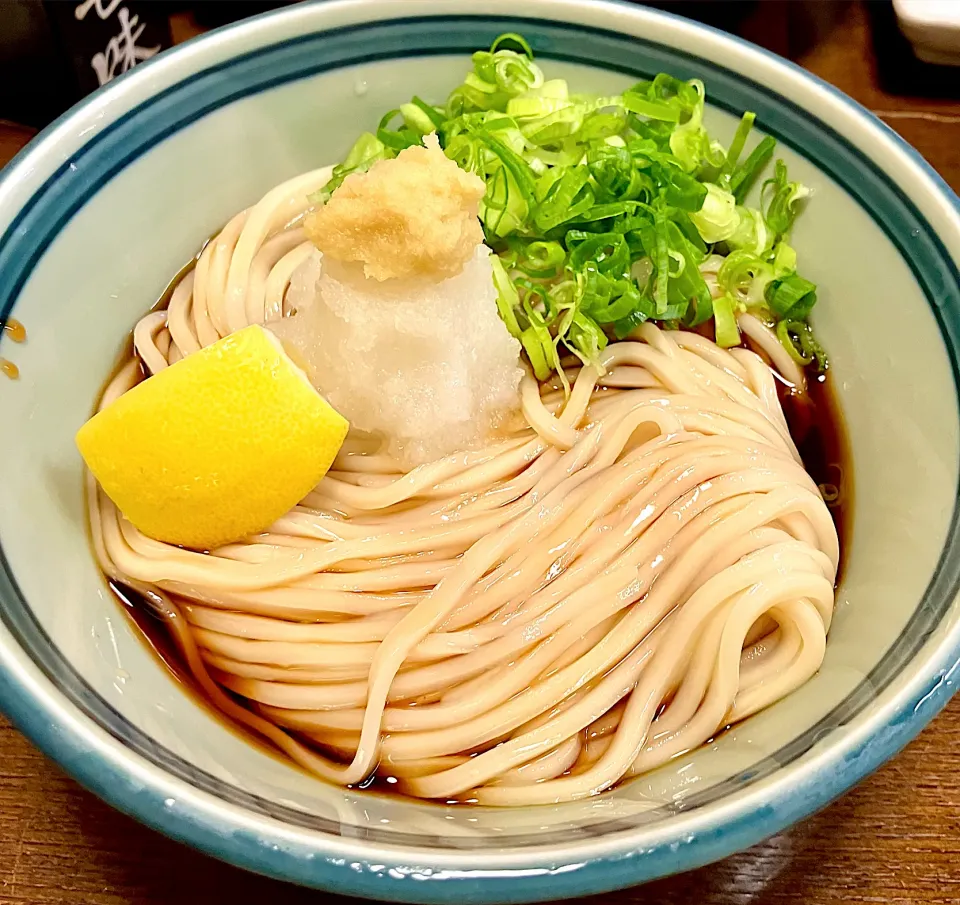 「おろしぶっかけうどん」                                              堺うどん ちはや|mottoさん