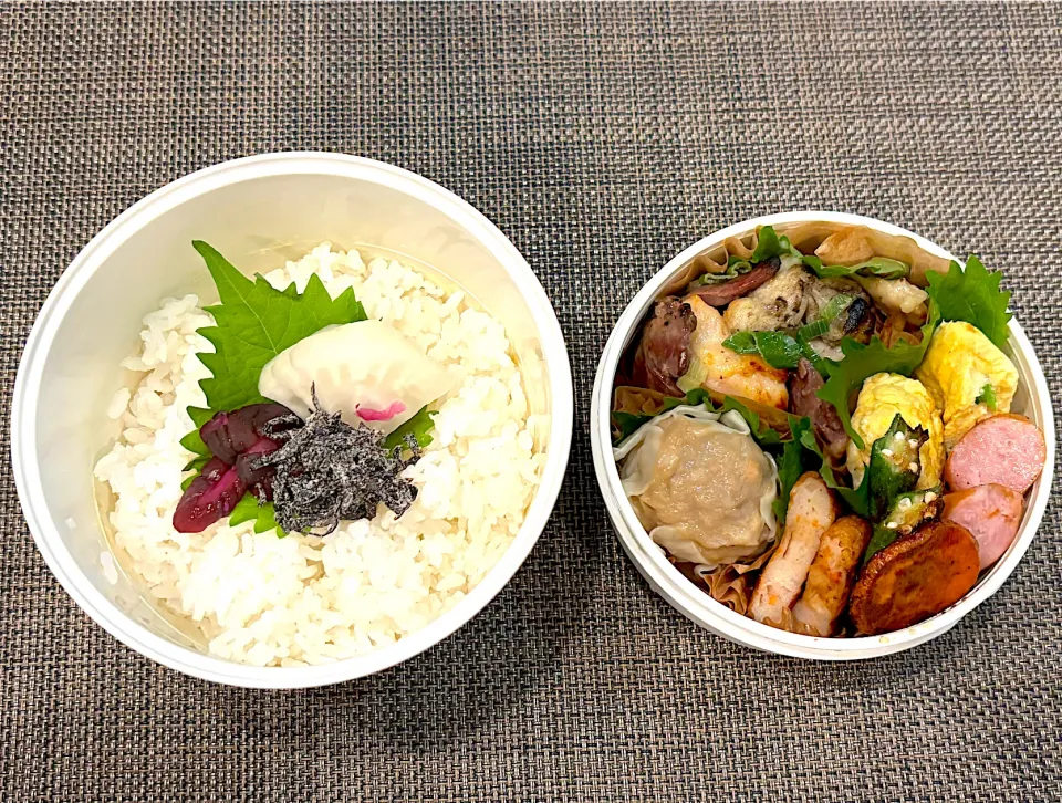 高校生息子のお弁当🍱 鶏肉のネギ塩焼き弁当🍱|Snow10さん