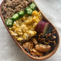 娘のお弁当|mmmd_lさん