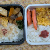 60代夫婦弁当甘塩鮭など|ぱいんてーるさん