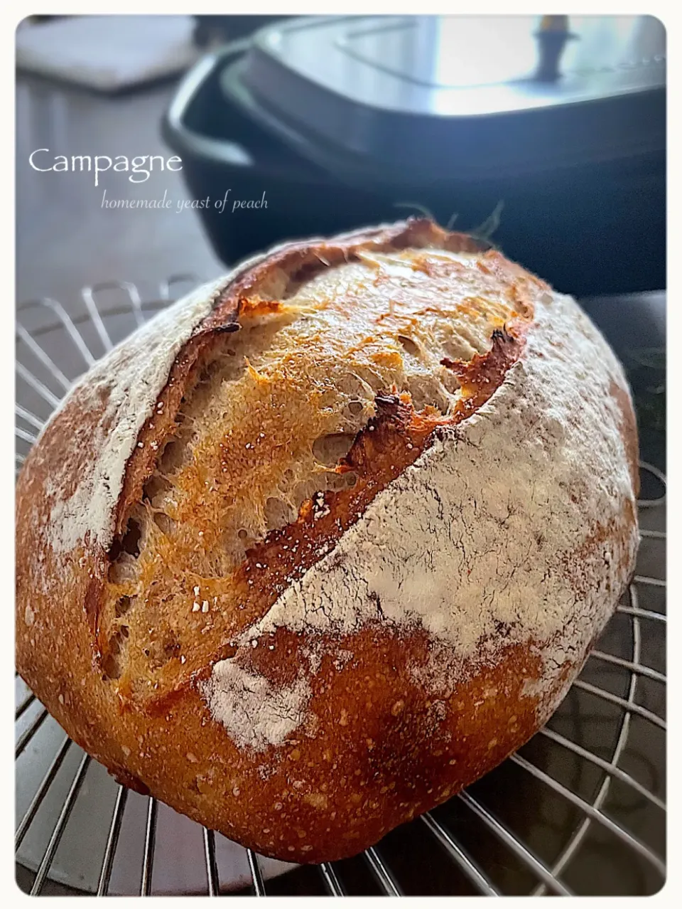 桃酵母 de カンパーニュ|yucca@さん