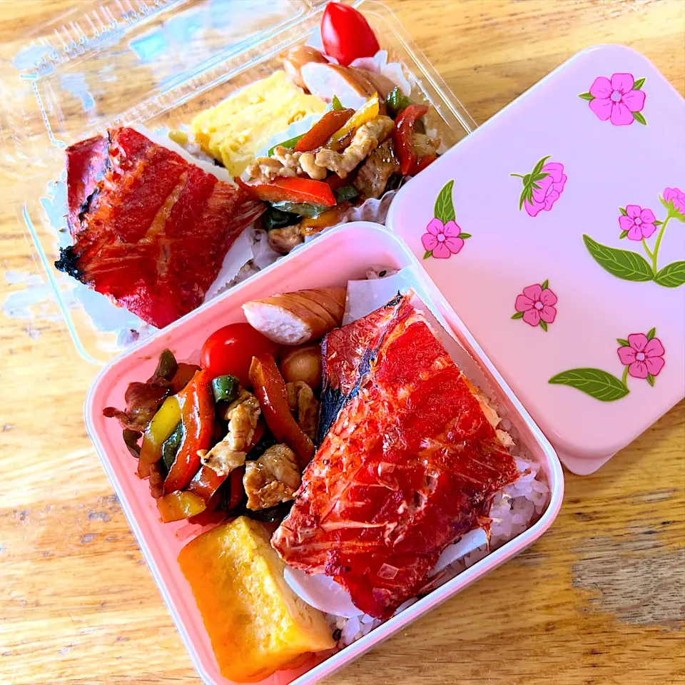 今日のお弁当|Daikiさん