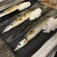 秋刀魚|sanaeさん