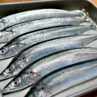 |Yoshihiro  Kitazawaさん