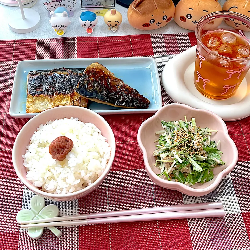 焼き鯖、水菜とツナのサラダ|めいさん
