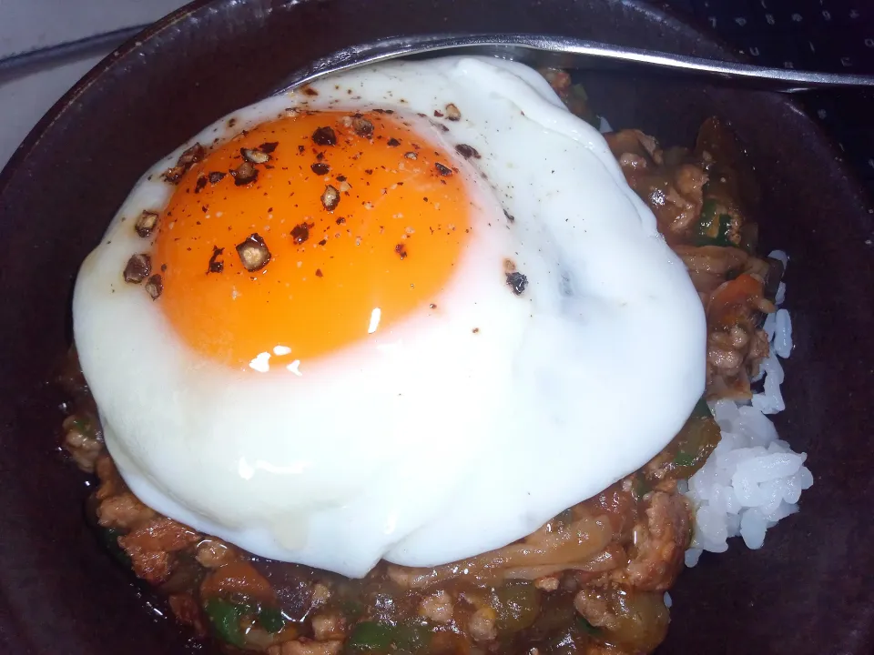 目玉焼き乗せ麻婆茄子丼|darkbaronさん