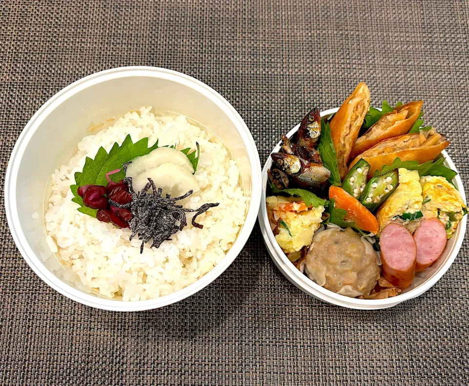 高校生息子のお弁当🍱 春巻きと焼売の中華弁当🍱|Snow10さん