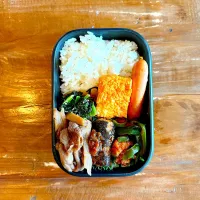 today's BENTO|DOBBYさん