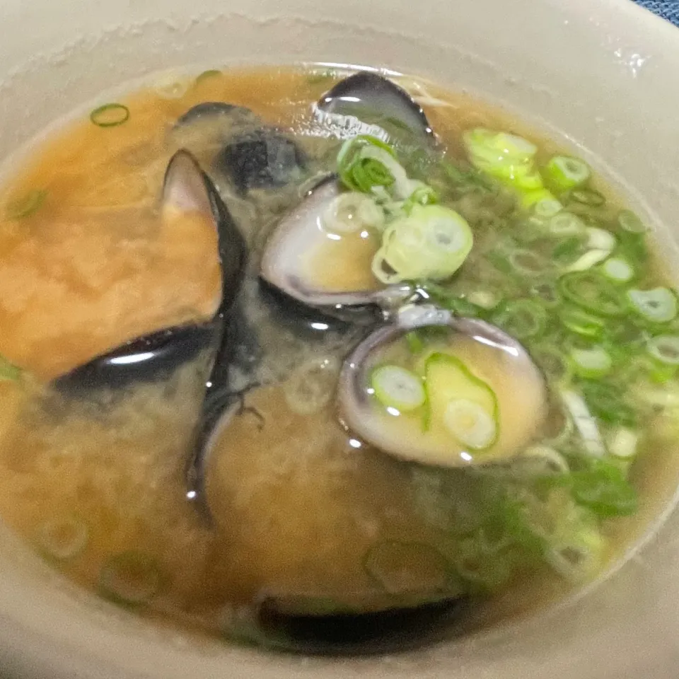 朝ドラで盛り上がるしじみ汁だけど、宍道湖産では無く湖山池産なので少し殻が大きめです。|kazzz3さん