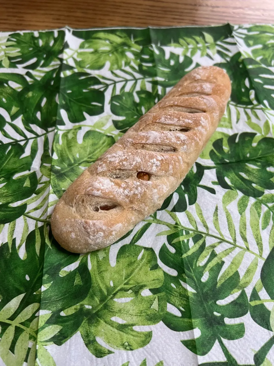 フィグナッツ|TOMOさん