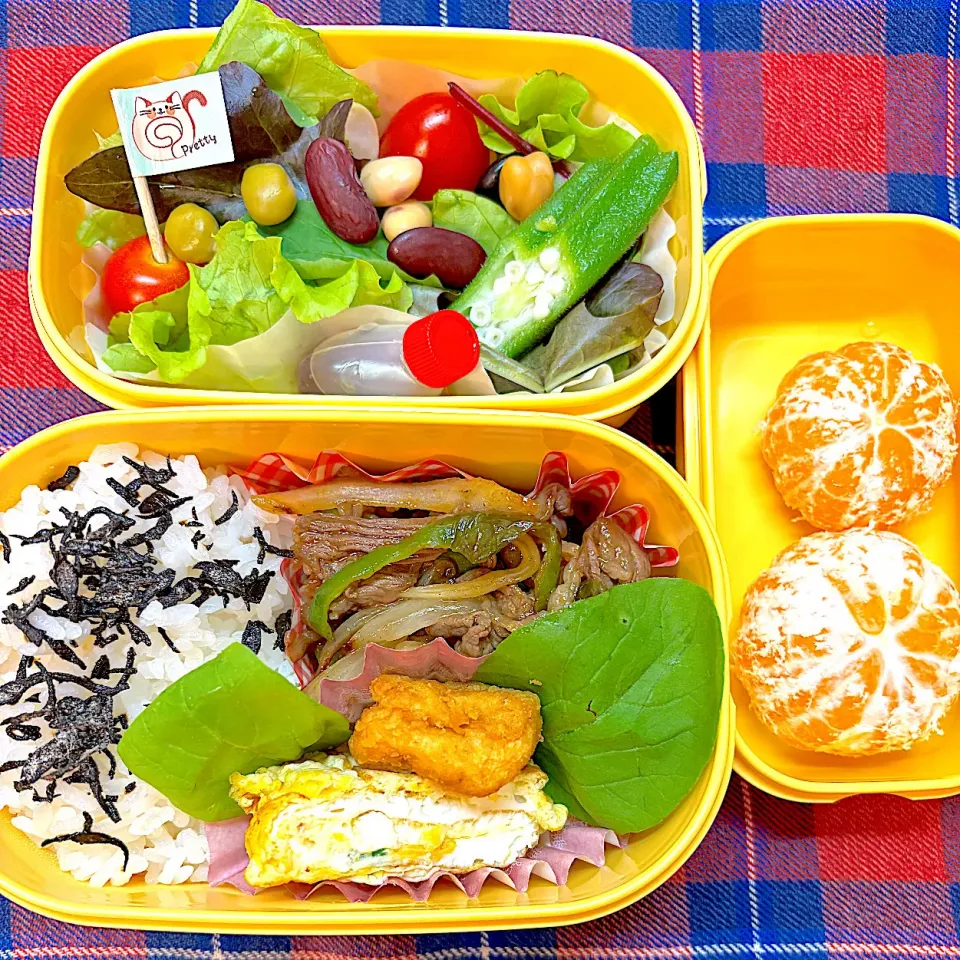 お弁当娘74|ユミさん