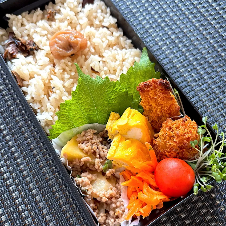 秋刀魚と生姜の炊き込み弁当|Abikoさん