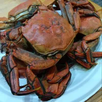 茹でモクズカニ|マイさん