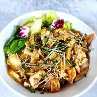 豚丼|オーロラさん