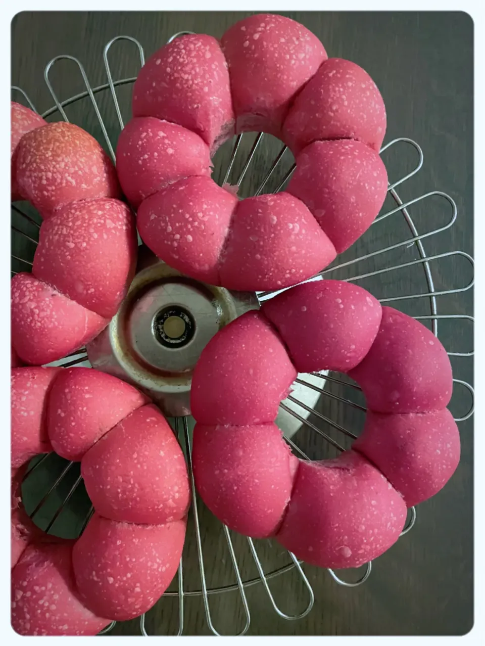 ビーツ酵母de 赤パン🔴|yucca@さん