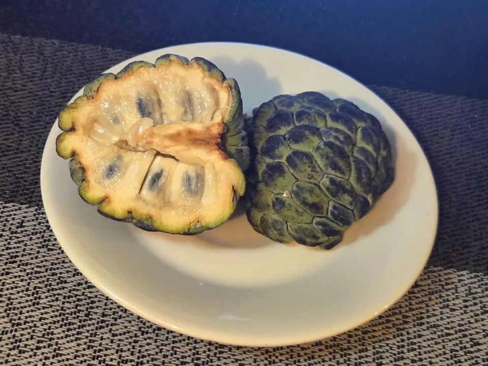 バンレイシ(釈迦頭)|Tomoさん