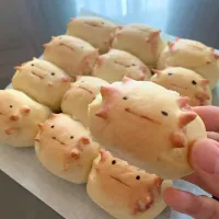 ウーパールーパーのちぎりパン🥐ウーパールーパン（再掲）