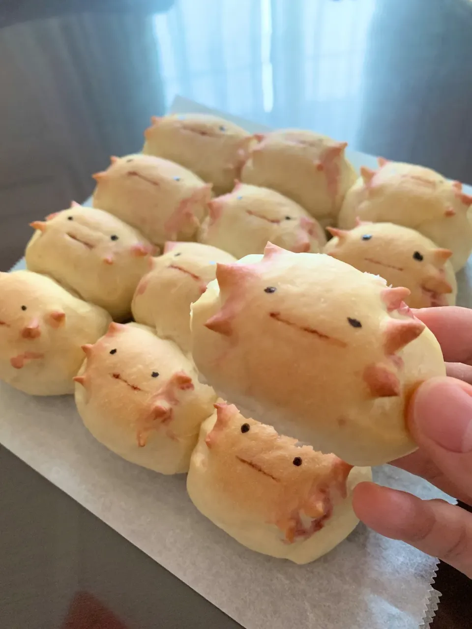 ウーパールーパーのちぎりパン🥐ウーパールーパン（再掲）|あやめもちもちさん