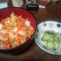 にんじんシリシリ丼、きゅうりと玉ねぎのナムル|にんにくと唐辛子が特に好き❤️(元シャリマー)さん