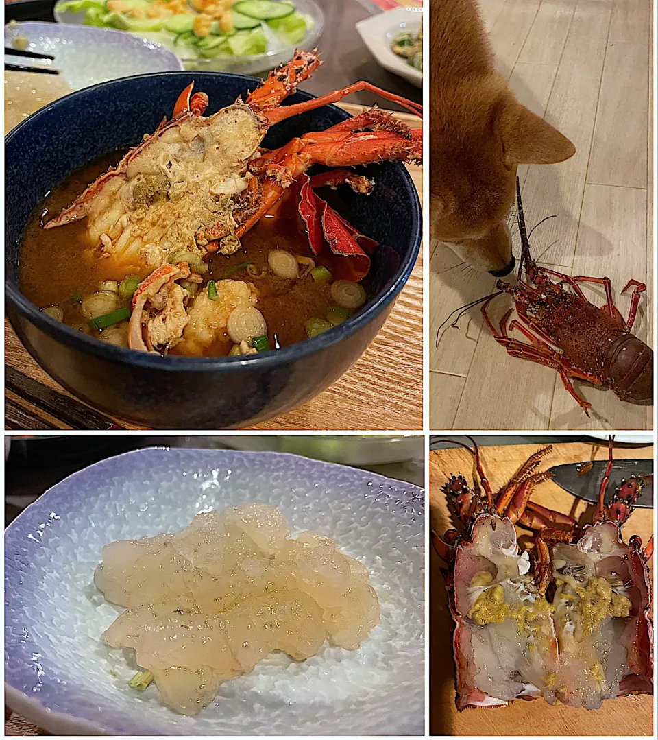 伊勢海老🦐のお刺身とお味噌汁|yucca@さん