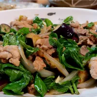 豚肉と茄子のバジル炒め！|バジル🌿さん