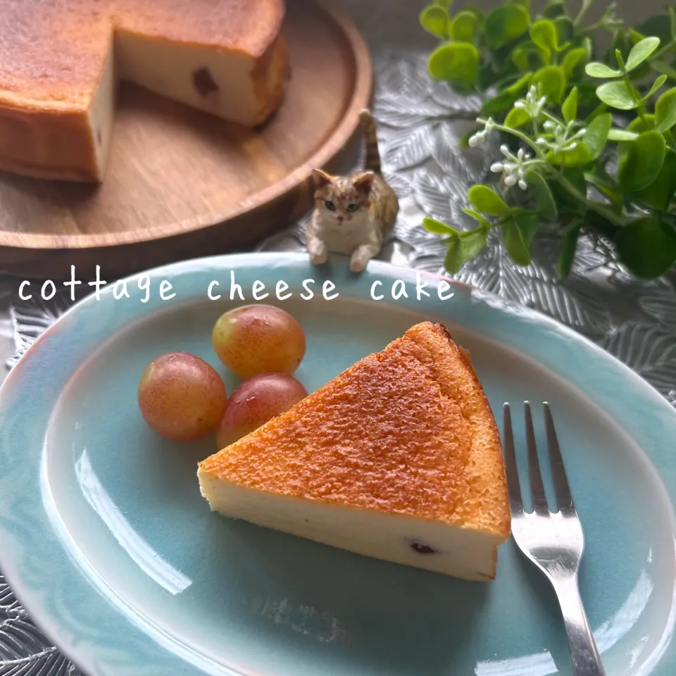 カッテージチーズケーキ|kononon♡*゜さん