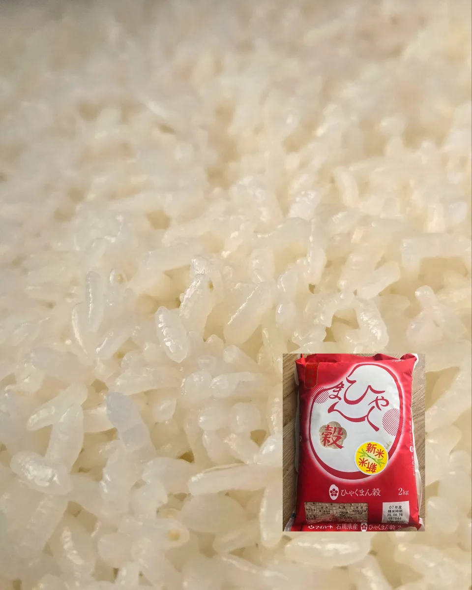 炊きたてご飯🍚|しあるさん