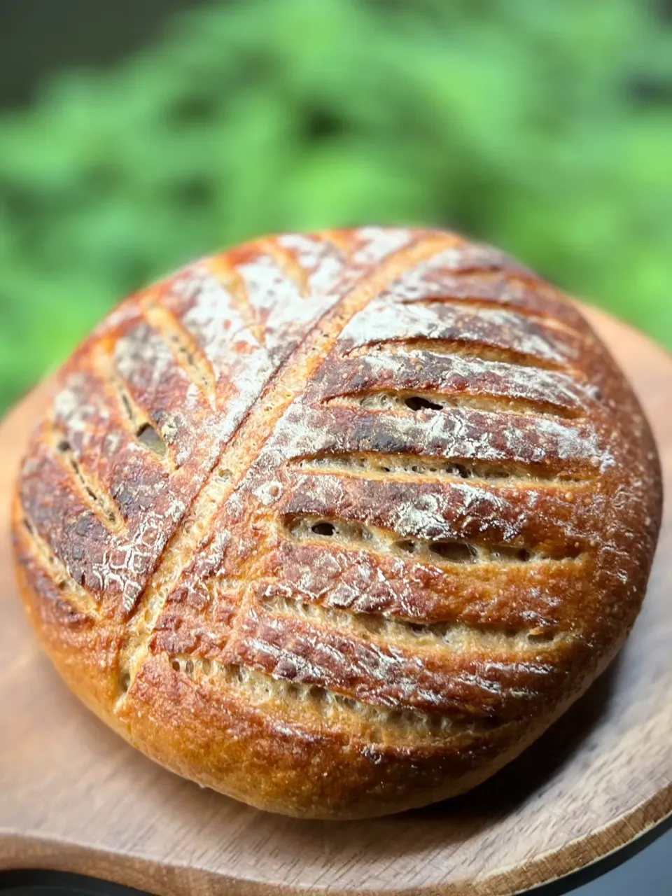 糀甘酒と秋栗のカンパーニュ 🍂|アッコ✨さん