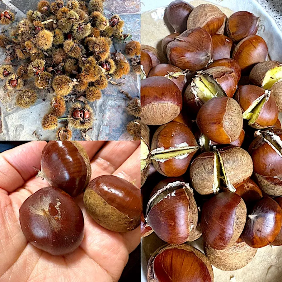 くり🌰|えみちさん