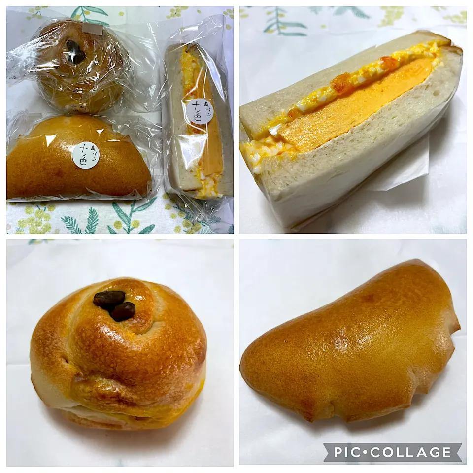 オムレツとたまごのサンド、かぼちゃロール、クリームパン　@ &パン十色|こいちさん