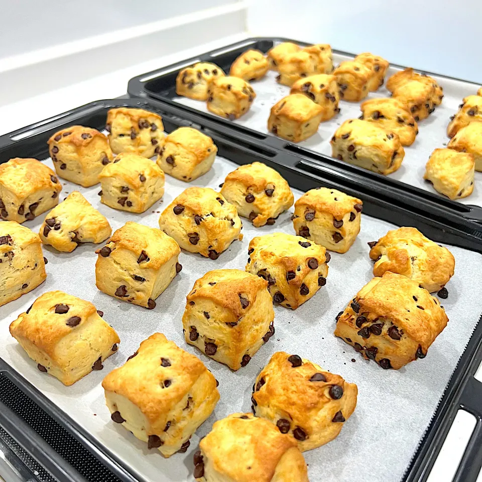 スコーン|たーたさん