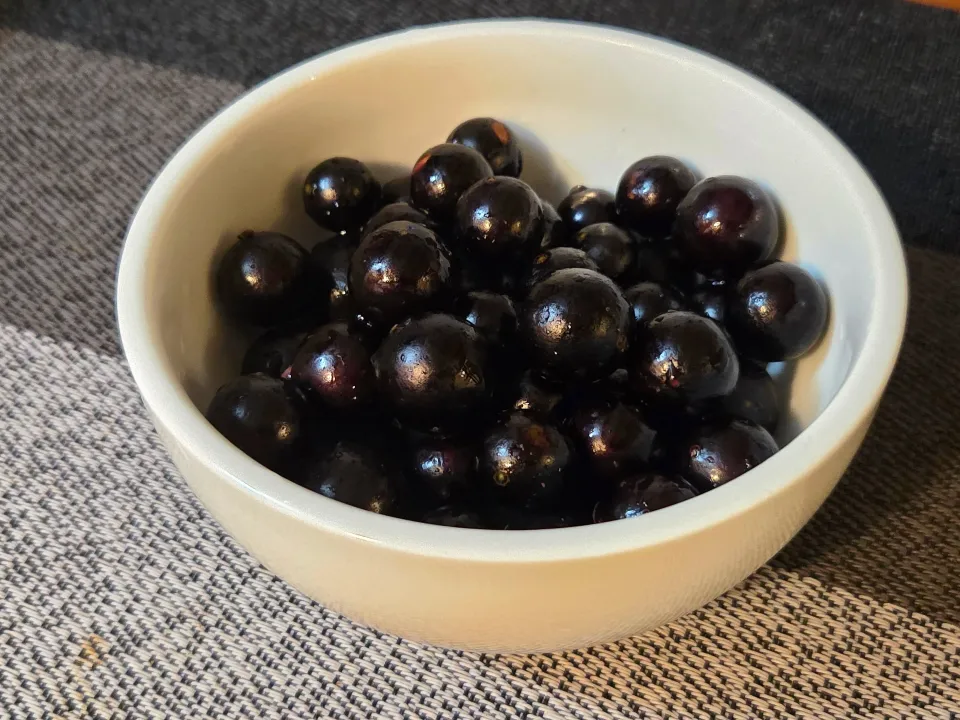 ジャボチカバ|Tomoさん