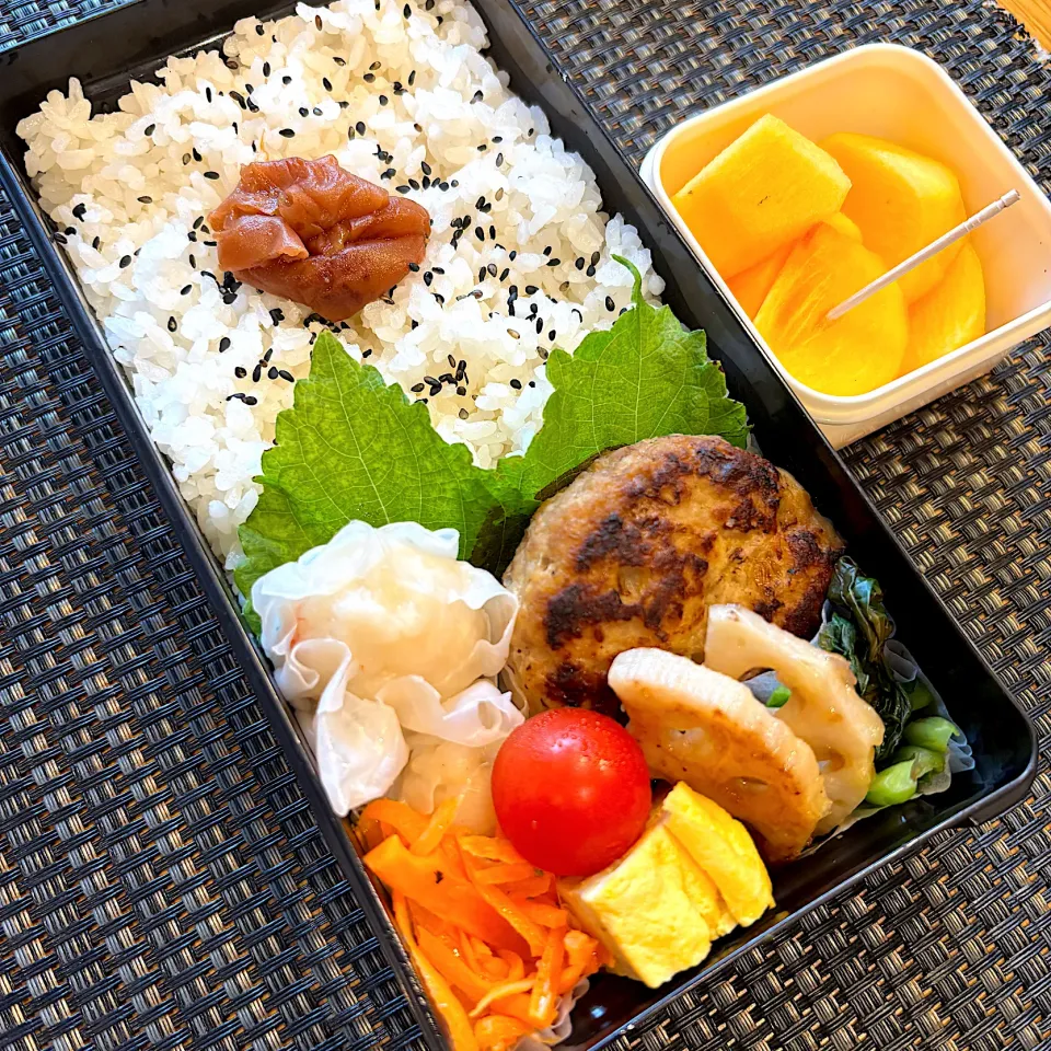 ハンバーグとエビシュウマイ弁当|Abikoさん