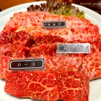 |Noriko Tajiriさん