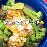 エビとブロッコリーの塩庵炒め😋|🐧ペンギン2さん