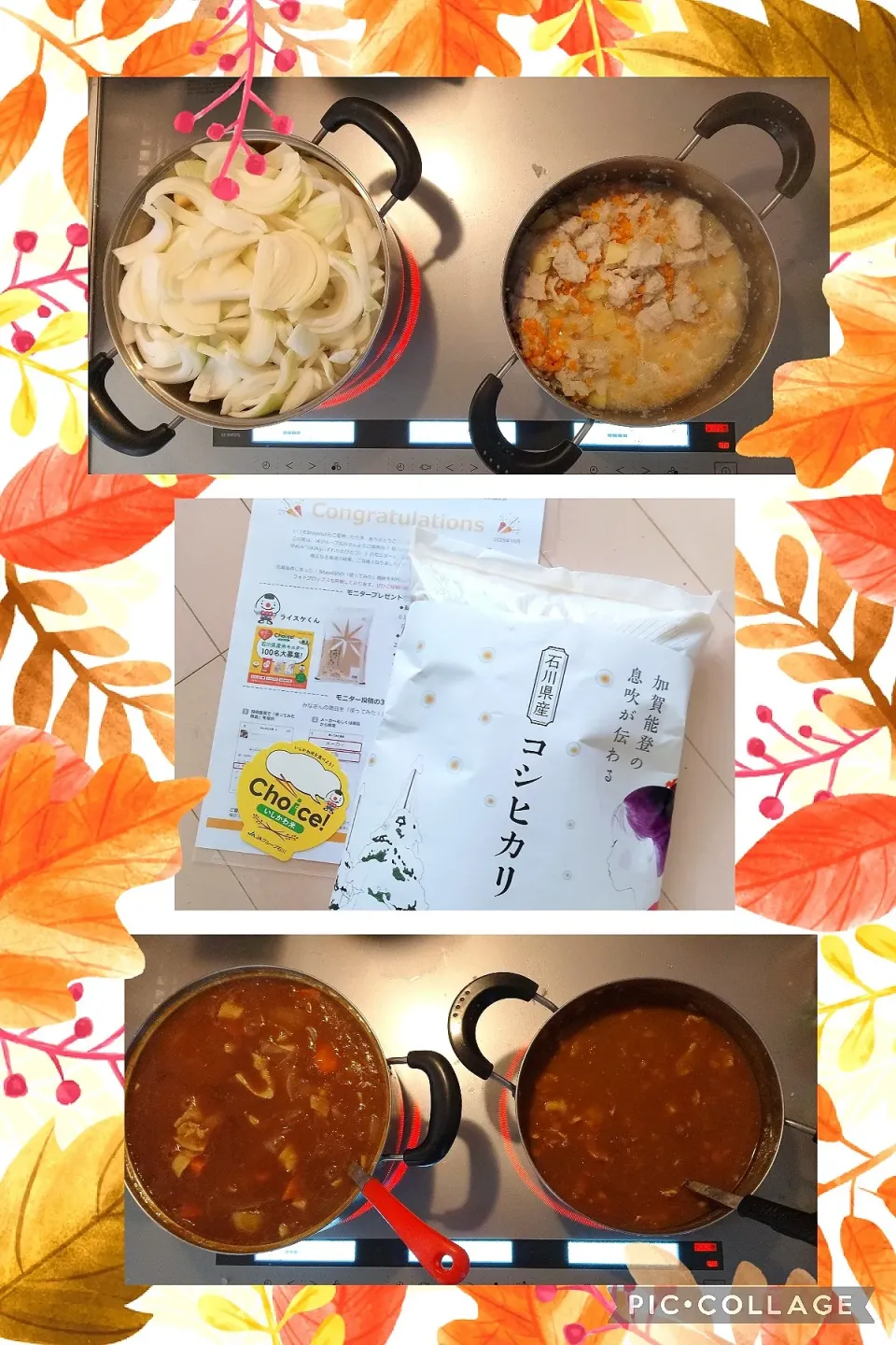 🌾石川県産のコシヒカリでカレーライス🍛🌾|まゆめろさん