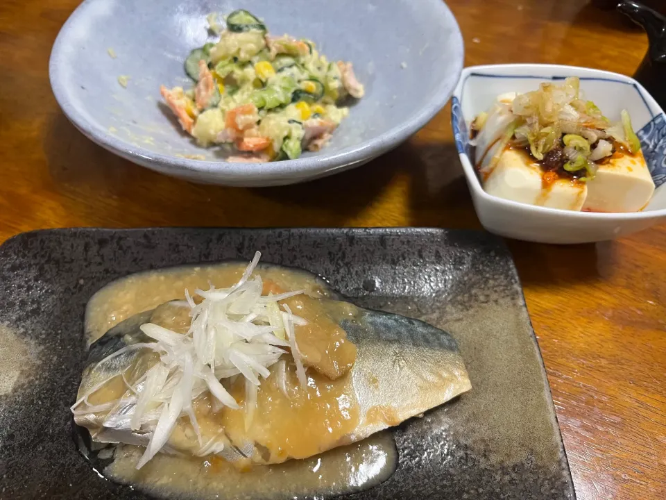 鯖味噌煮|さんだーさん