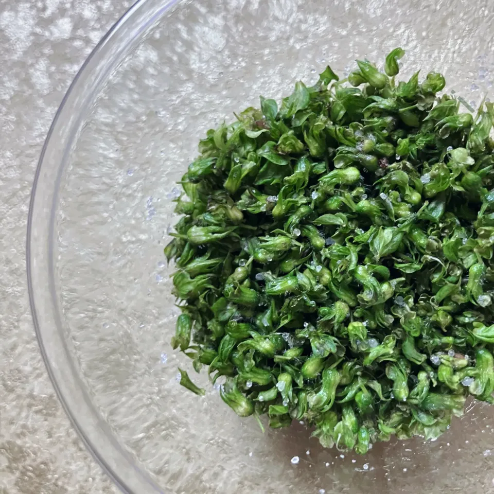 穂紫蘇の塩漬け|izoomさん