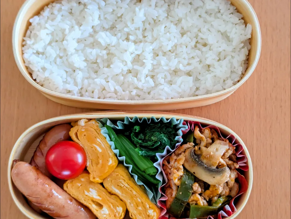 今日のお弁当76|watarunさん