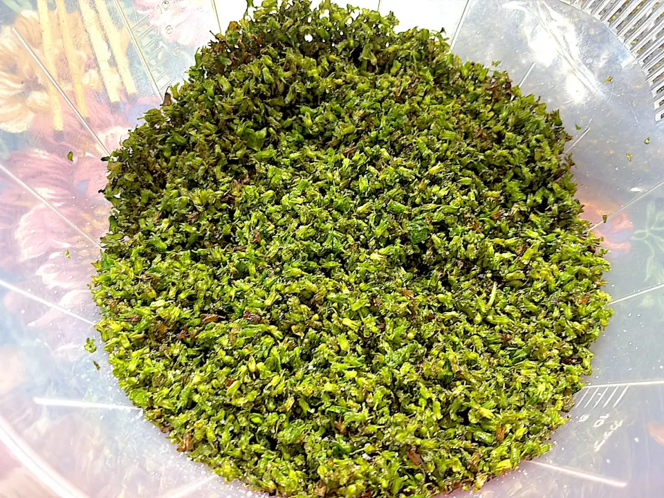 紫蘇穂|みーこさん