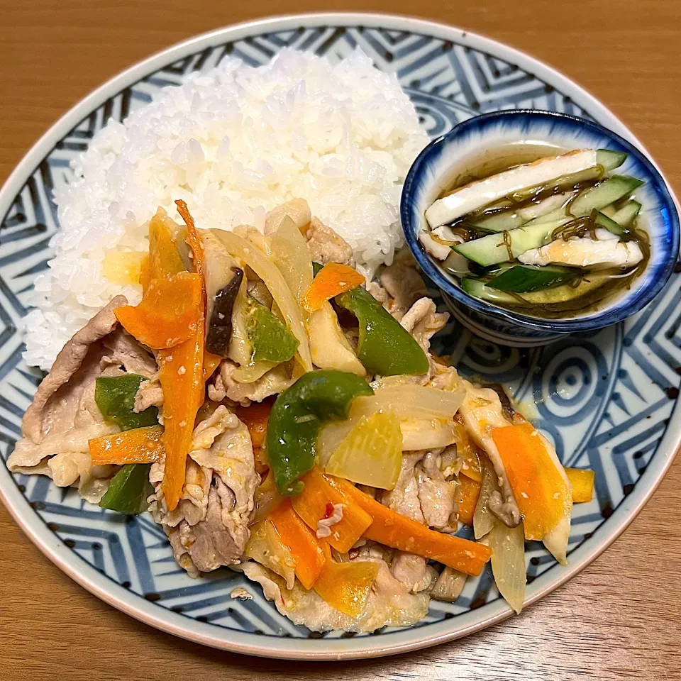 20251005夜|mikochieさん